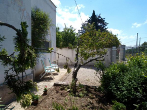 Villa Rosa